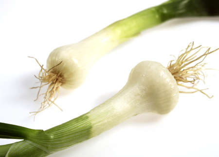 WHITE ONIONS allium cepa AGAINST WHITE BACKGROUNDの写真素材