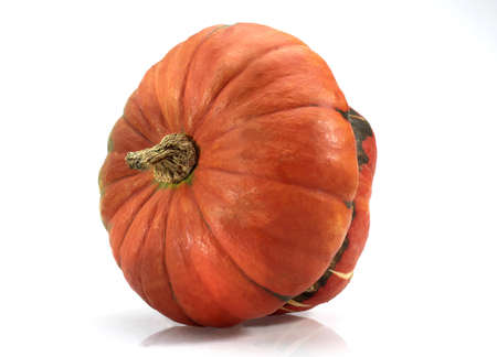 PUMPKIN CALLED GIRAUMON TURBAN TURC cucurbita maxima AGAINST WHITE BACKGROUNDの写真素材