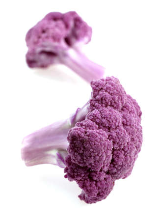 PURPLE CAULIFLOWER AGAINST WHITE BACKGROUNDの写真素材