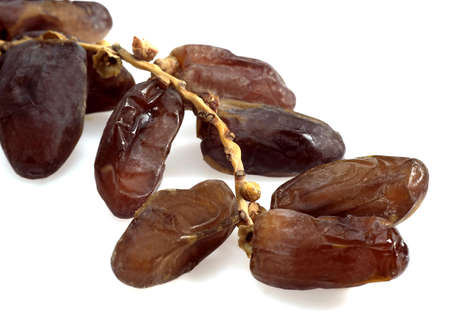AGAINST WHITE BACKGROUND
