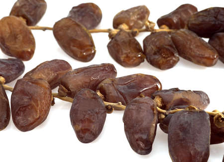 DRY DATE PALM FRUIT phoenix dactylifera AGAINST WHITE BACKGROUND