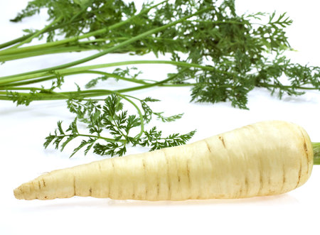 White Carrot, daucus carota, Vegetable against White Backgroundの写真素材