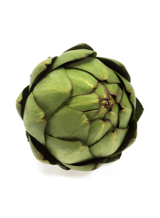 ARTICHOKE cynara scolymus AGAINST WHITE BACKGROUNDの写真素材