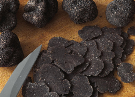 Slices of Perigord Truffe, tuber melanosporumの写真素材