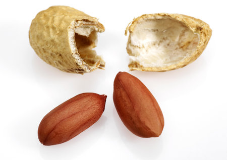 Peanuts, arachis hypogaea, Fruits against White Background