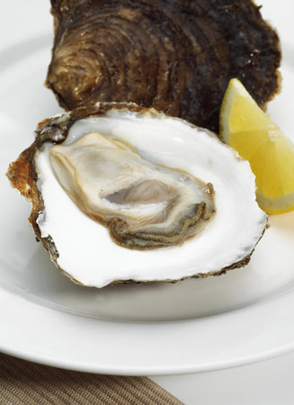 a French Oyster called Plate de Belon, ostrea edulis, Seafoods with Lemon on Plateの写真素材