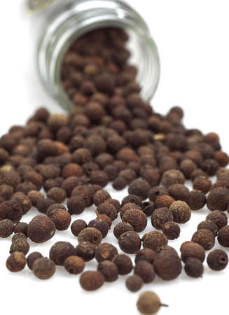 JAMAICA PEPPER AGAINST WHITE BACKGROUND
