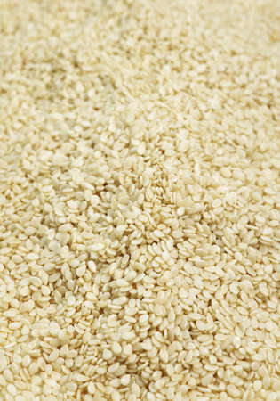 SESAME SEEDS