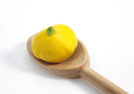 POTIMARRON cucurbita pepo, SMALL VARIETY OF PUMPKINの写真素材