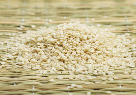 SESAME SEEDSの写真素材