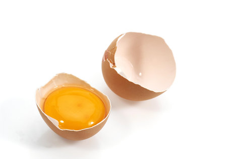 CHICKEN EGG SHOWING YOLK AGAINST WHITE BACKGROUND