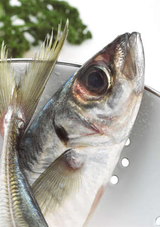 FRESH HORSE MACKEREL IN A SIEVE