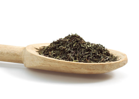 Thyme, thymus vulgaris, Dried Herbs against White Backgroundの写真素材