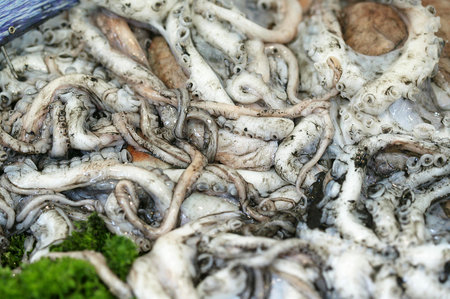 Fresh Squids, coleoidea sp. on Fish Stallの写真素材