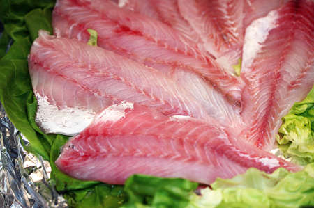 Fresh Perch Fillet at Fish Shop