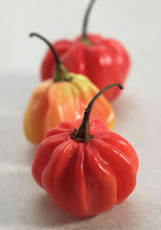 Martinique Hot Pepper