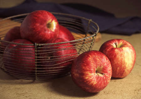Royal Gala Apple, malus domestica