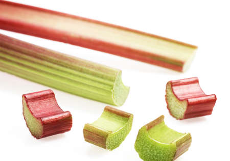 Rhubarb, rheum rhaponticum against White Backgroundの写真素材
