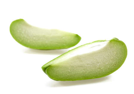 Chayote, sechium edule, Mexican Fruit against White Backgroundの写真素材