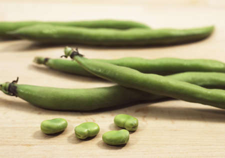Fresh Broad Beans, vicia fabaの写真素材