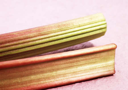 Rhubarb, rheum rhaponticum