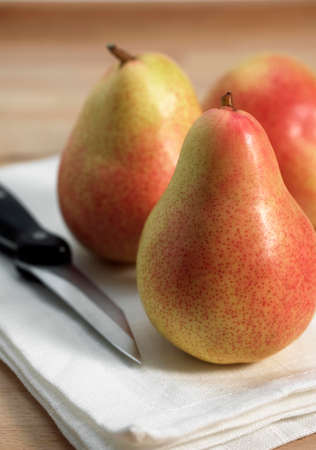 Rosemary Pear, pyrus communis, Fresh Fruitsの写真素材