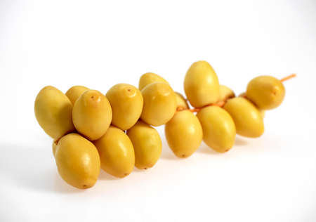 Fresh Dates, phoenix dactylifera, Fruits against White Backgroundの写真素材