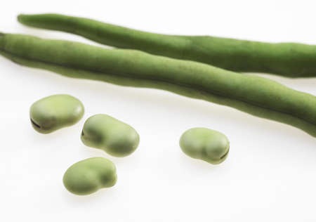 Fresh Broad Beans, vicia faba agaist White Backgroundの写真素材
