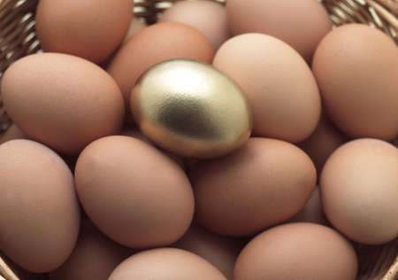 EGGS IN BASKET WITH A GOLDEN ONE, SYMBOLIC IMAGE FOR THE HEN AND THE GOLDEN EGGの写真素材