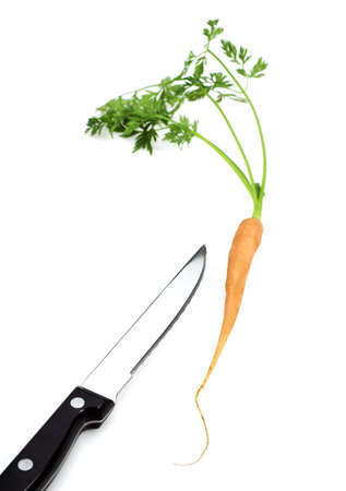 CARROT daucus carota AGAINST WHITE BACKGROUNDの写真素材