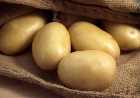 Mona Lisa Potato, Solanum tuberosumの写真素材
