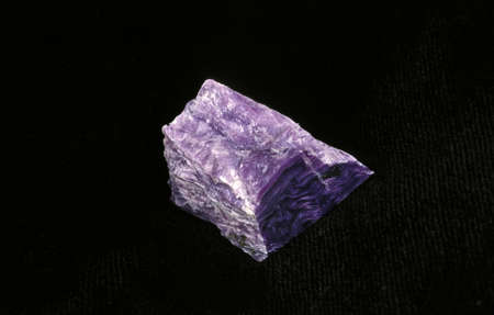Charoite Stone against Black Background