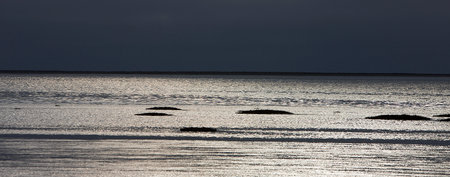 Sea Shore at Walvis Bay, Namibia
