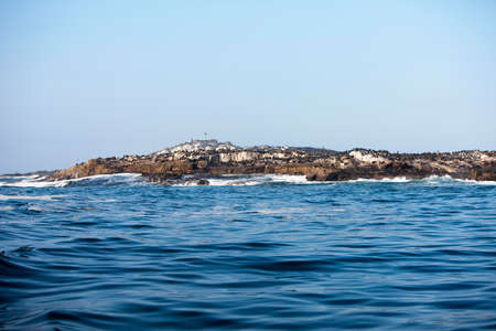 SEAL ISLAND IN FALSE BAY, SOUTH AFRICA, ISLAND WHERE A COLONY OF AFRICAN FUR SEALS LIVESの写真素材