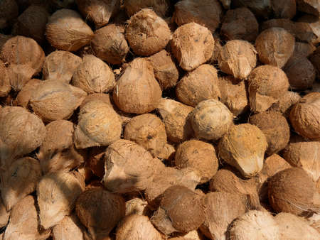 Vietnam, Mekong Delta, Coconut Factoryの写真素材