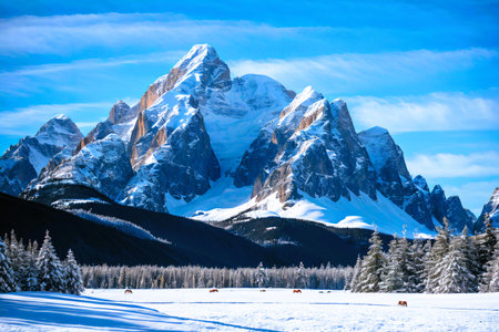 Winter in the italian dolomites with snow covered mountainsの素材