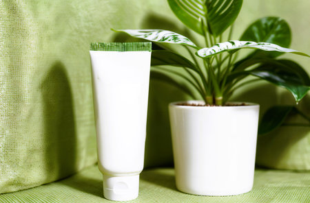 cosmetic bottle containers with beauty treatment plant on wooden background - beauty treatmentの素材