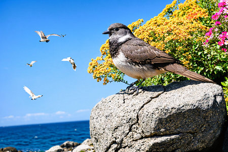 Bird sitting on a rock with flowers and seagulls in the backgroundの素材