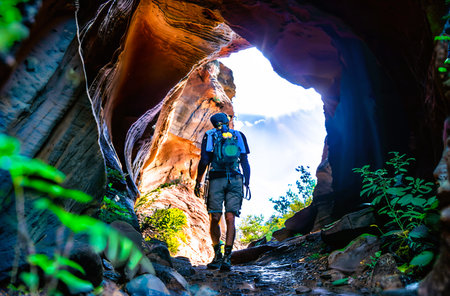 Hiker in Zion National Park, Utah, United States of Americaの素材