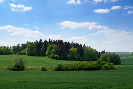 Spring landscape in the south of Czech Republicの写真素材
