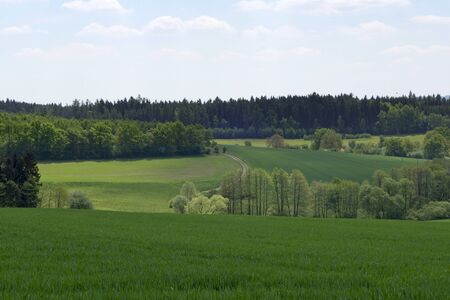 Spring landscape in the south of Czech Republicの写真素材