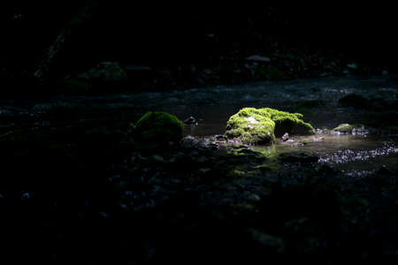 Stones in the water taken close-up, karst river on a sunny dayの写真素材
