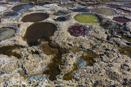 Exposed tilapia nests at the Salton Seaの写真素材