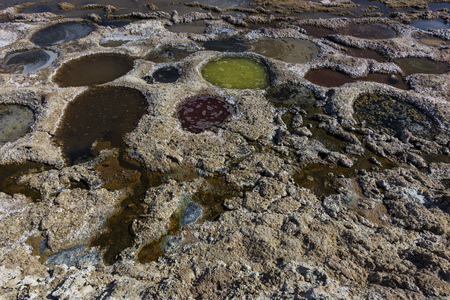 Exposed tilapia nests at the Salton Seaの写真素材
