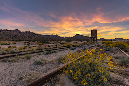 Colorful Sky at Sunset and Wildflowers at Dos Cabezas Siding. Old railroad in southern Californiaのeditorial素材