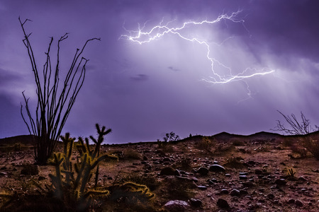 Lightning strikes in the Anza-Borrego Desert during a rare southern California thunderstorm.の写真素材