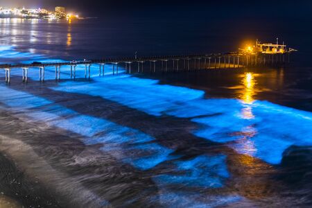 Beautiful Blue Bioluminescence at Scripps Pierの写真素材