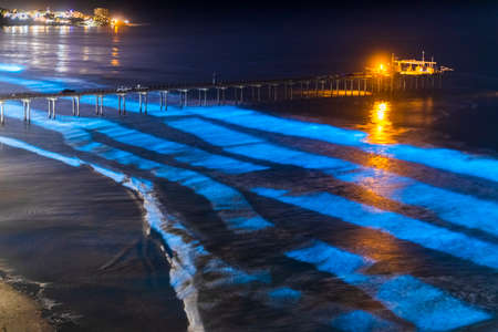 Beautiful Blue Bioluminescence at Scripps Pierの写真素材
