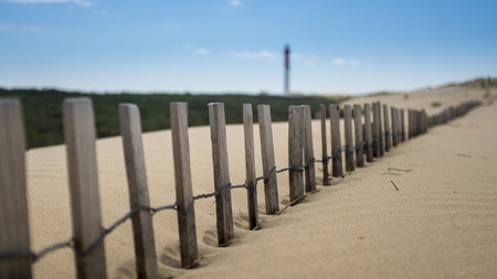 Line of wooden coastal defences in Royan France extending across a sandy beach to help prevent erosion in a receding landscape viewの写真素材