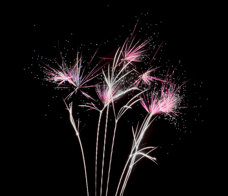 Fireworks exploding into colors of pink, purple and whiteの写真素材